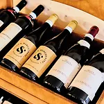 皮扎尔托酒店 罗卡拉索